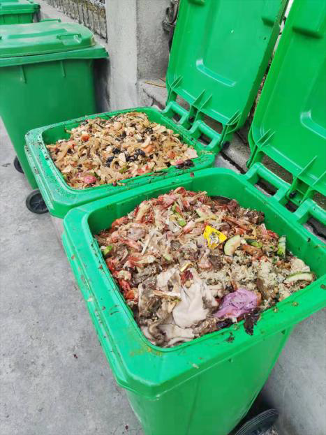 Bacs de pré-compost en sortie de traitement