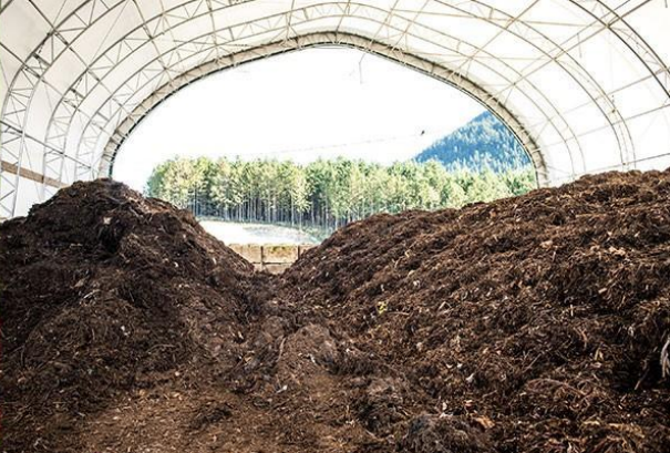 Maturation du pré-compost sous serre