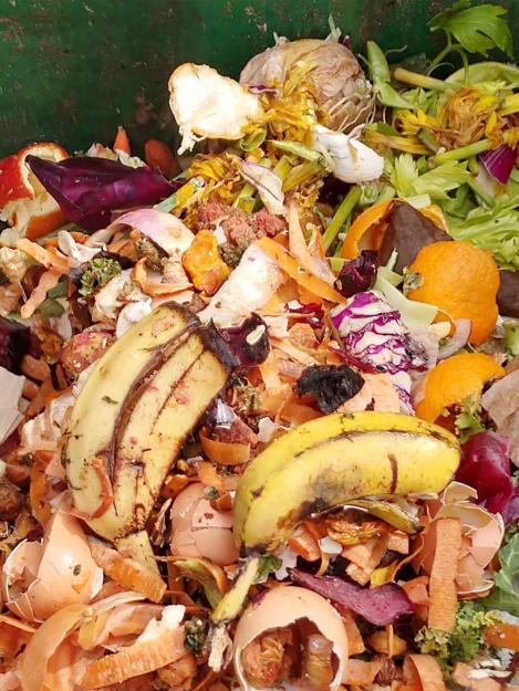 1. Réception des biodéchets