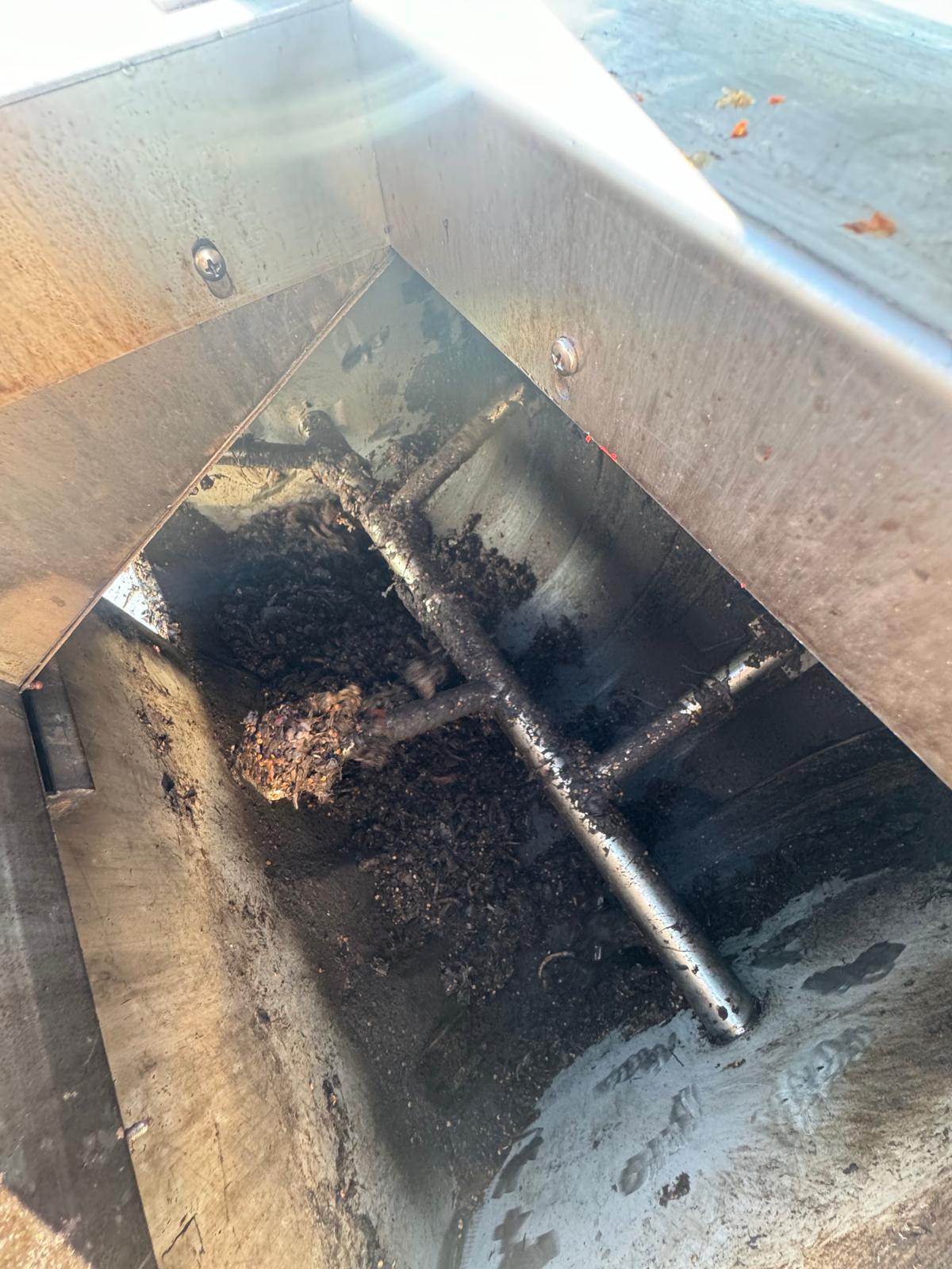 5. Pré-compost obtenu après 12 à 24 heures