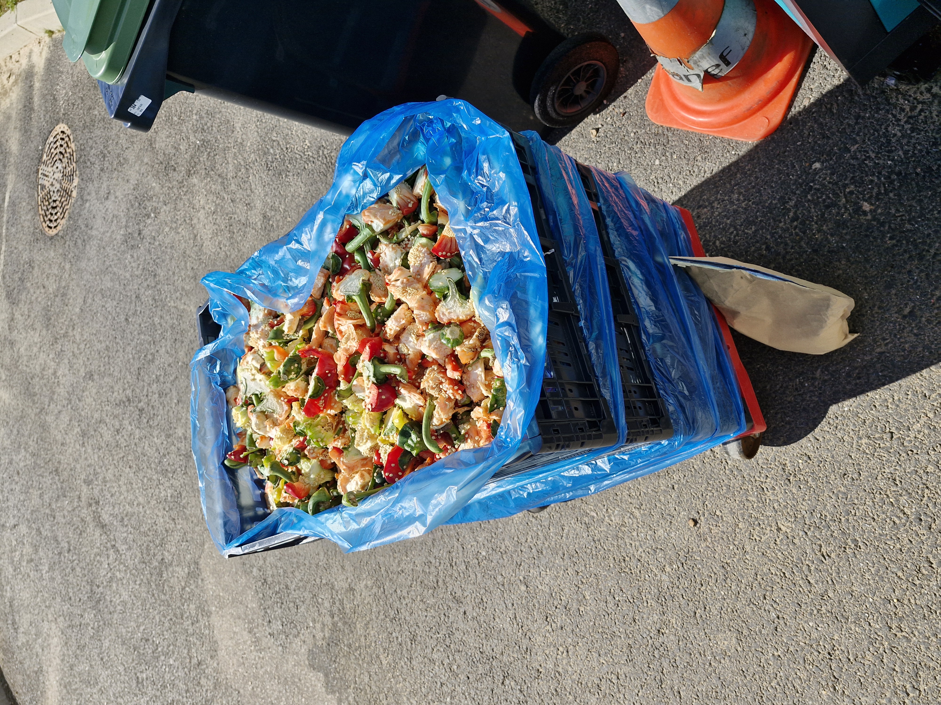 Biodéchets alimentaires prêts à être traités